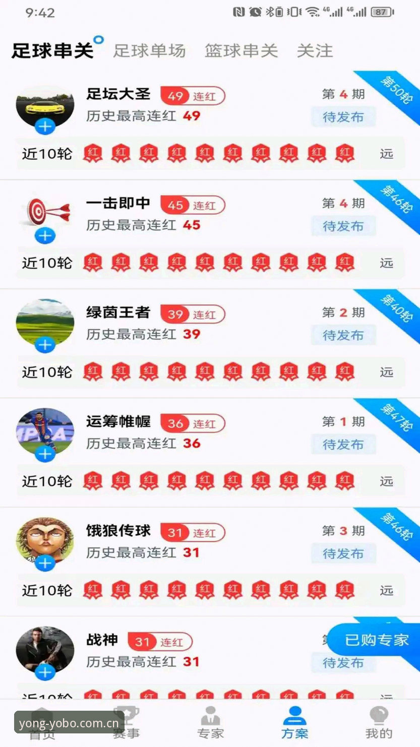 Yobo体育平台苹果版实用指南：从下载到畅玩的必备知识