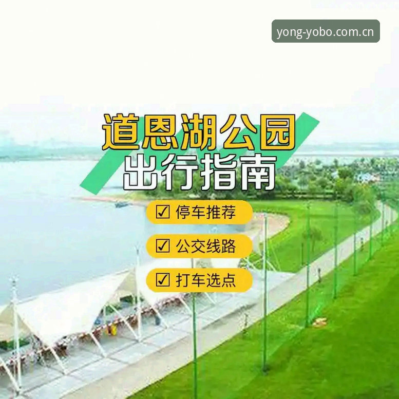 Yobo体育平台安全操作教程：从入口查找到数据验证的完整指南